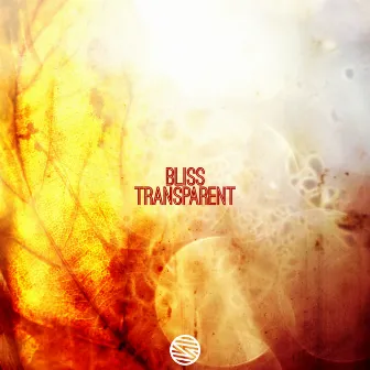 Transparent by Bliss