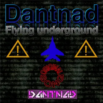 Flying Underground by Dantnad