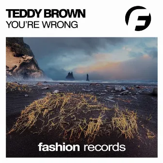 You're Wrong by Teddy Brown