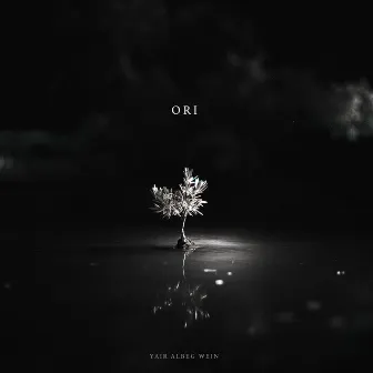 Ori by Yair Albeg Wein