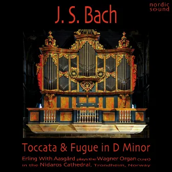 J. S. Bach: Toccata and Fugue in D Minor by Erling With Aasgård