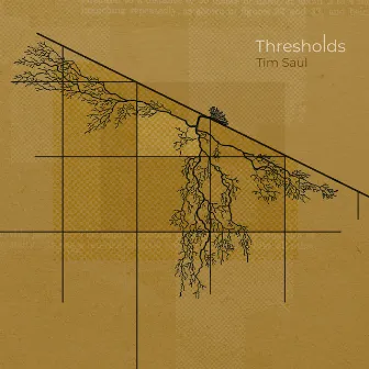 Thresholds by Tim Saul