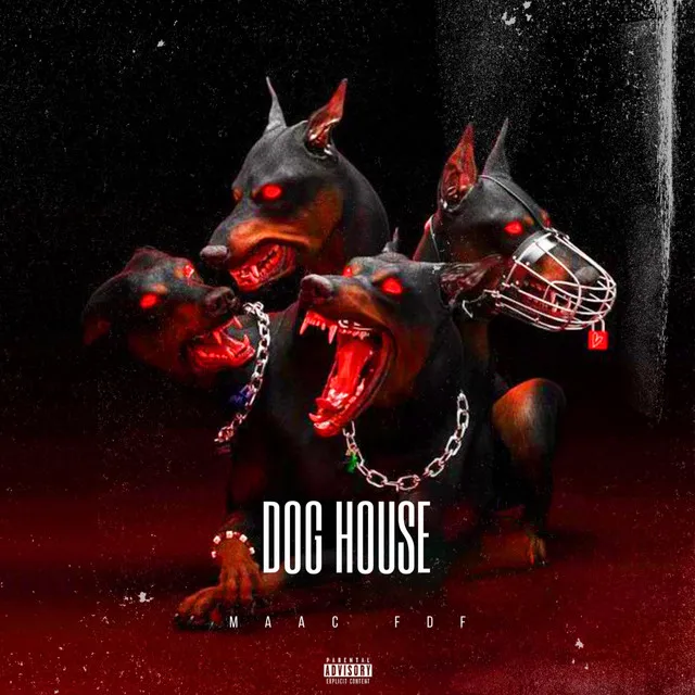 Dog House