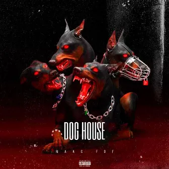 Dog House by MaacFdf