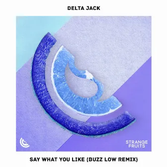 Say What You Like (Buzz Low Remix) by Delta Jack