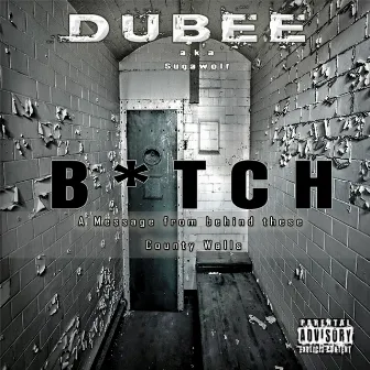 B*tch - Single by Dubee