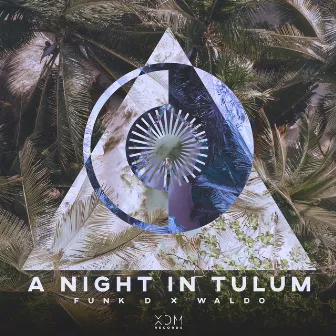 A Night in Tulum by Waldo