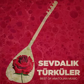 Sevdalık Türküler (Best of Anatolian Music) by Hüseyin Bitmez