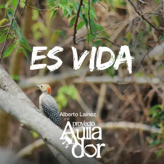 Es Vida by Alberto Laínez y el Proyecto Aullador