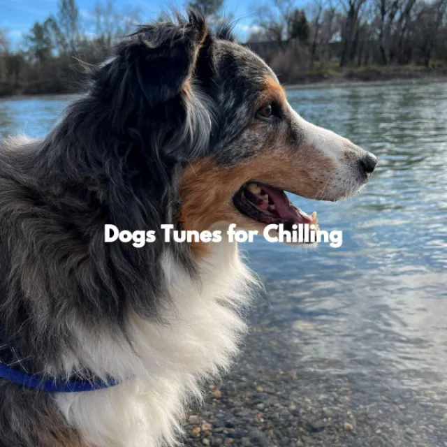 Dogs Tunes for Chilling