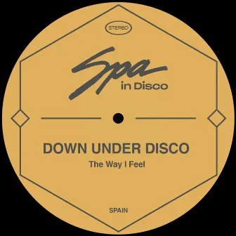 The Way I Feel by Downunder Disco