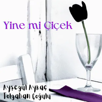 Yine mi Çiçek by Ayşegül Aykaç