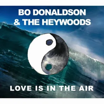 Love Is in the Air by Bo Donaldson & The Heywoods