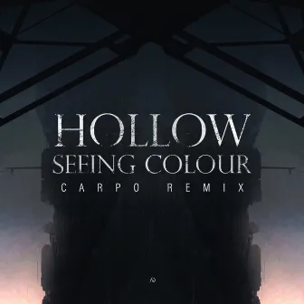 Seeing Colour (Carpö Remix) by Hollow