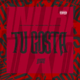 Tu gosta by MC DEGRADE