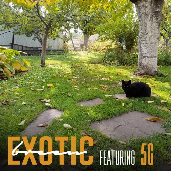 Exotic by 5g