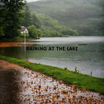 Raining At The Lake by Rainy Day