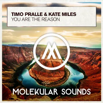 You Are The Reason by Timo Pralle