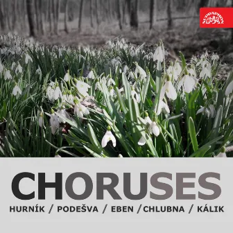 Choruses (Hurník, Podešva. Eben, Chlubna, Kálik) by Moravan Academic Singing Association