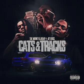 CATS & TRACKS by Tae Money