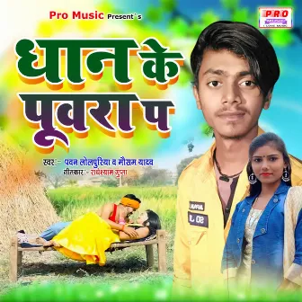 Dhan Ke Puwara Pa by Pawan Lolpuriya