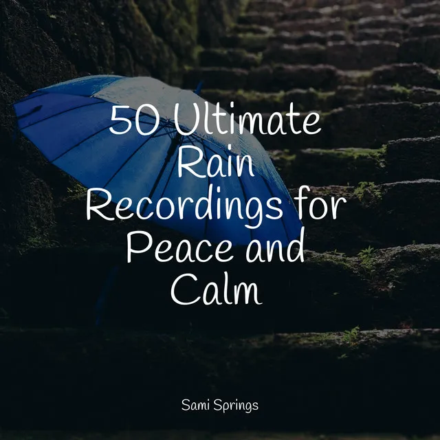 50 Ultimate Rain Recordings for Peace and Calm