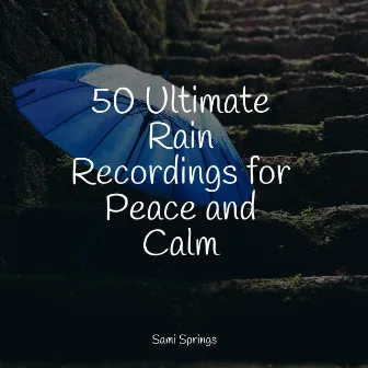 50 Ultimate Rain Recordings for Peace and Calm by Nature Music Pregnancy Academy