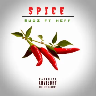 Spice by BUDZ