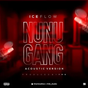 Nunu Gang (Acoustic Version) by iceflow