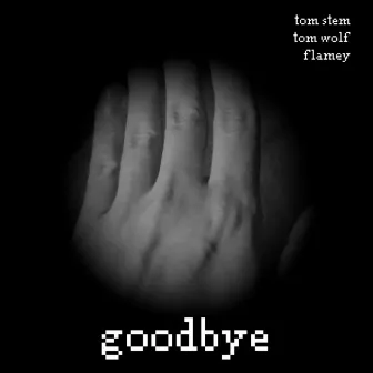 Goodbye by Tom Wolf