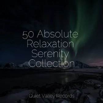 50 Absolute Relaxation Serenity Collection by Rainfall