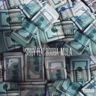 Mula by Siboy