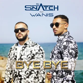 Bye Bye by Dj Snatch