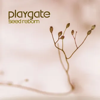 Seed Reborn by Playgate