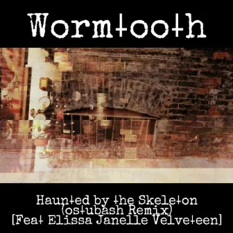 Haunted by the Skeleton (Ostubash Remix) by Wormtooth