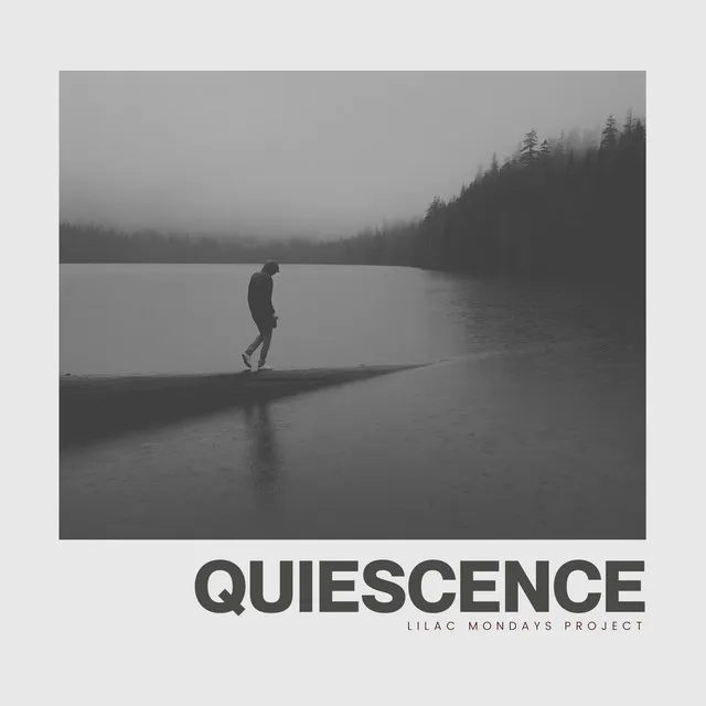 Quiescence