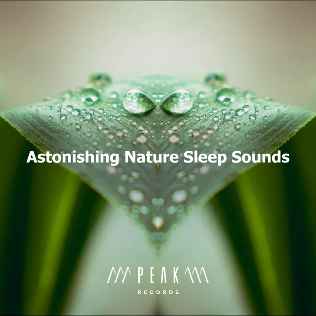 Astonishing Nature Sleep Sounds