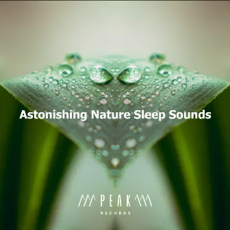 Astonishing Nature Sleep Sounds by Pure Nature Noises