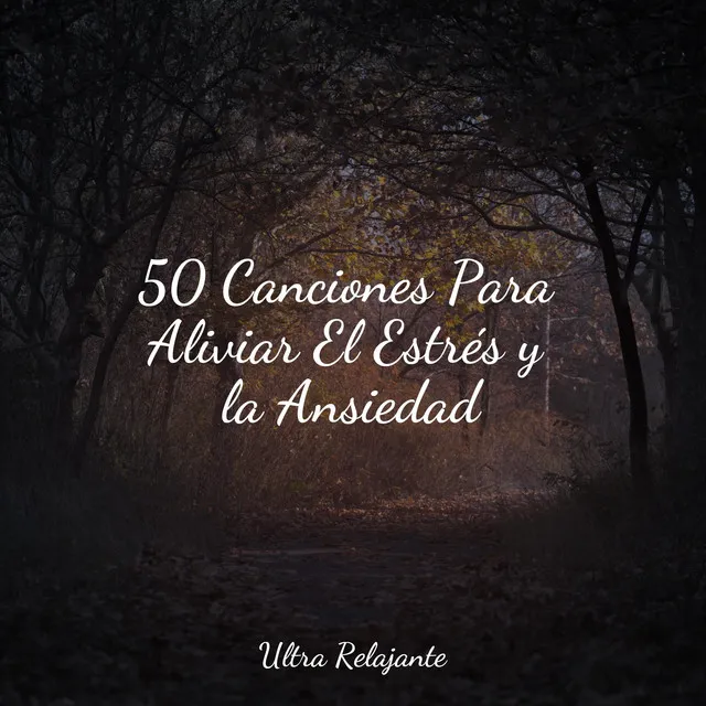 50 Canciones Para Aliviar El Estrés y la Ansiedad