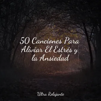 50 Canciones Para Aliviar El Estrés y la Ansiedad by Masajes Spas