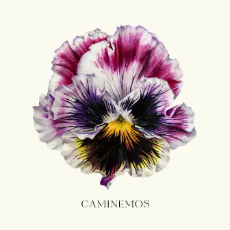 Caminemos by La Flor del Recuerdo