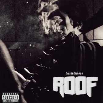 Roof by dannydukess