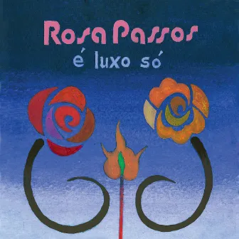 É Luxo Só by Rosa Passos