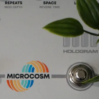 Microcosm by Emily Hopkins