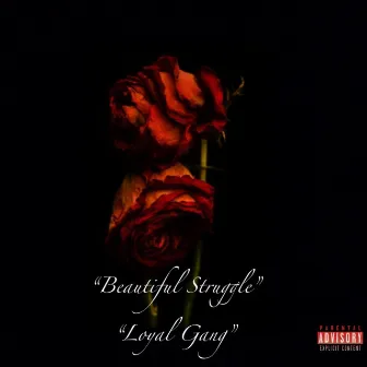 Beautiful Struggle by Skeezy