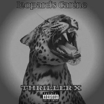 Leopard's Canine by Thriller X