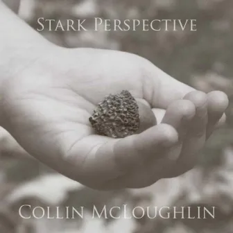 Save the World Tonight Acoustic Cover by Collin McLoughlin