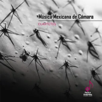 Música Mexicana de Cámara / Cuartetos by Paola Josefina