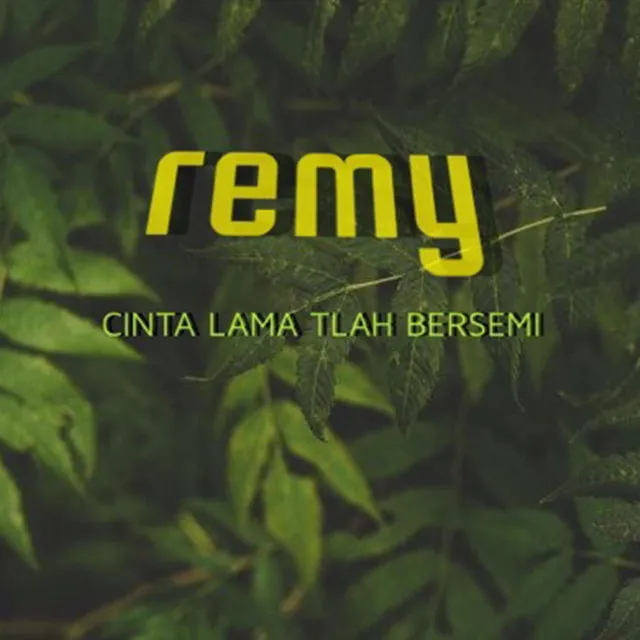 Cinta Lama Tlah Bersemi