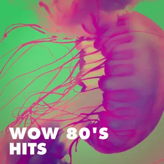 Wow 80's Hits by 80s Angels